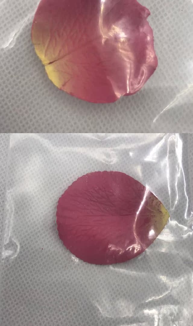 Mẫu thử cánh hoa Laduli laduree của Nhật Bản mẫu thử một cánh hoa 02 màu hồng - Blush / Cochineal bảng má hồng