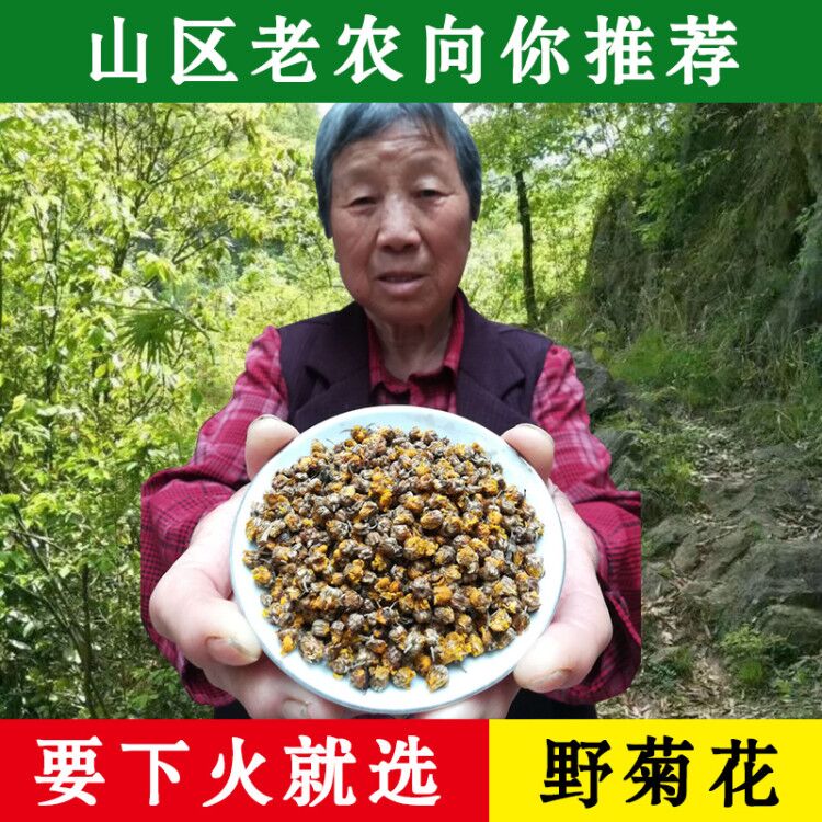 Wild Chrysanthemum Wild Farm New Products Chinese medicine Material Non-Chrysanthemum Fetal Chrysanthemum-free Chrysanthemum Tea