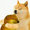 拼舒适