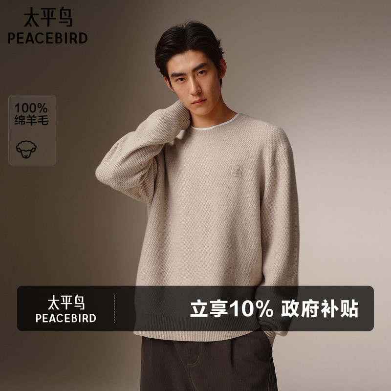 Peacebird Men's Casual Sweater Winter Three-Dimensional Leather Label Fashion Sweater High-Quality Wool Sweater Men's Sweater