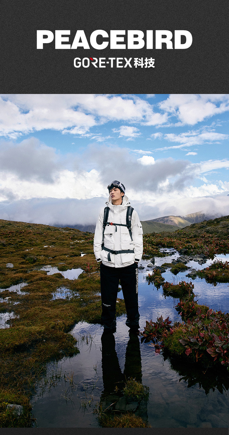 太平鸟 GORE-TEX面料+银离子蓄热 白鹅绒 男式工装羽绒服 多重优惠折后￥921包邮 2色可选
