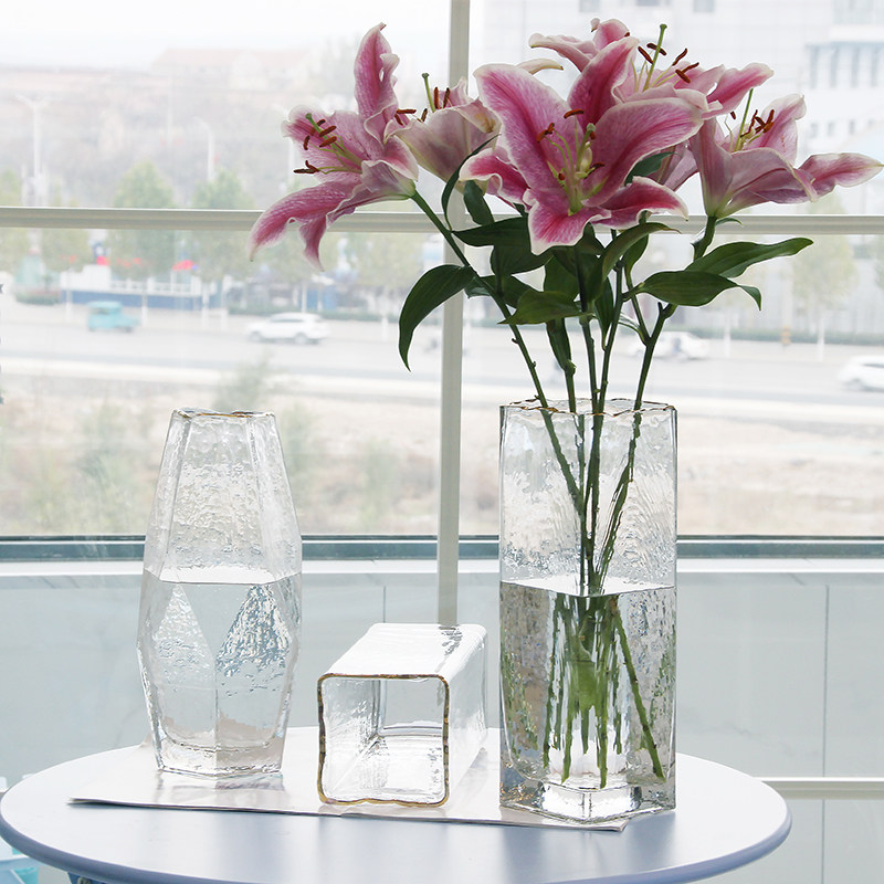 Nordic square glass vase transparent living room rich bamboo lily flower vase creative decoration living room flower arrangement
