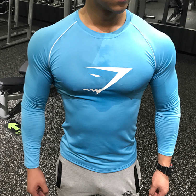 Gymshark одежда. Джим Шарк. Gymshark Malibu. Лонгслив Gymshark. Майки Gymshark Fitness.