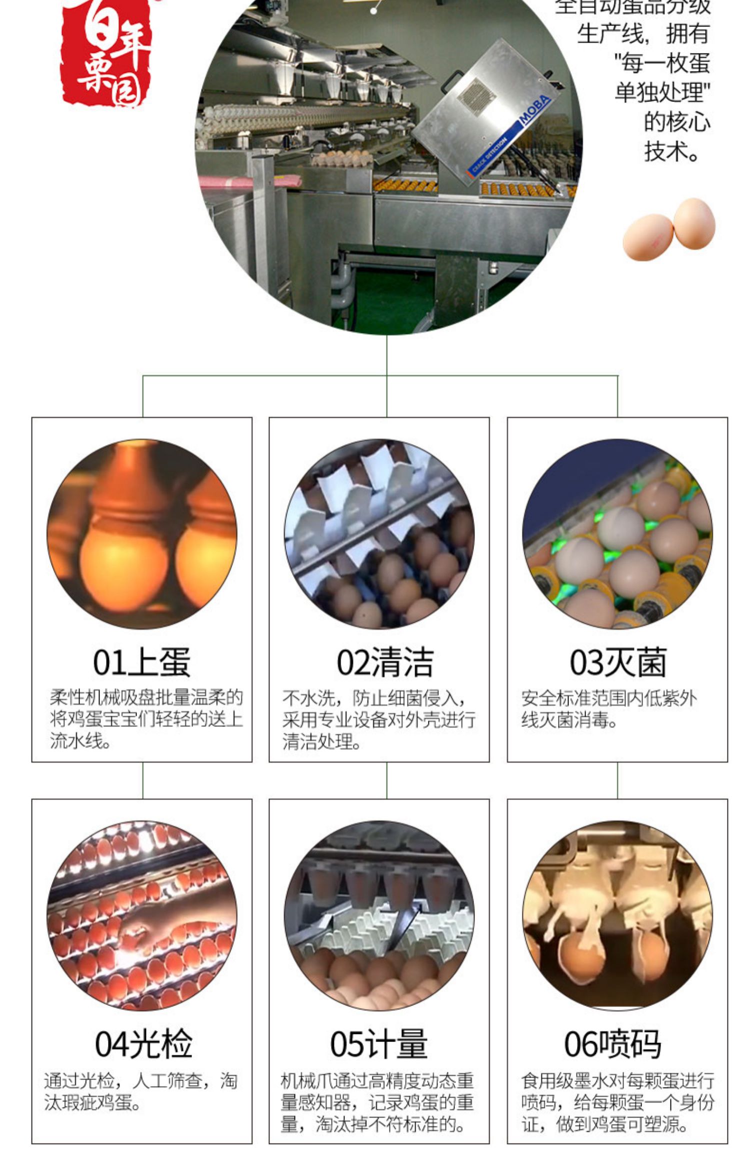 【当日新鲜】林地散养油鸡蛋30枚