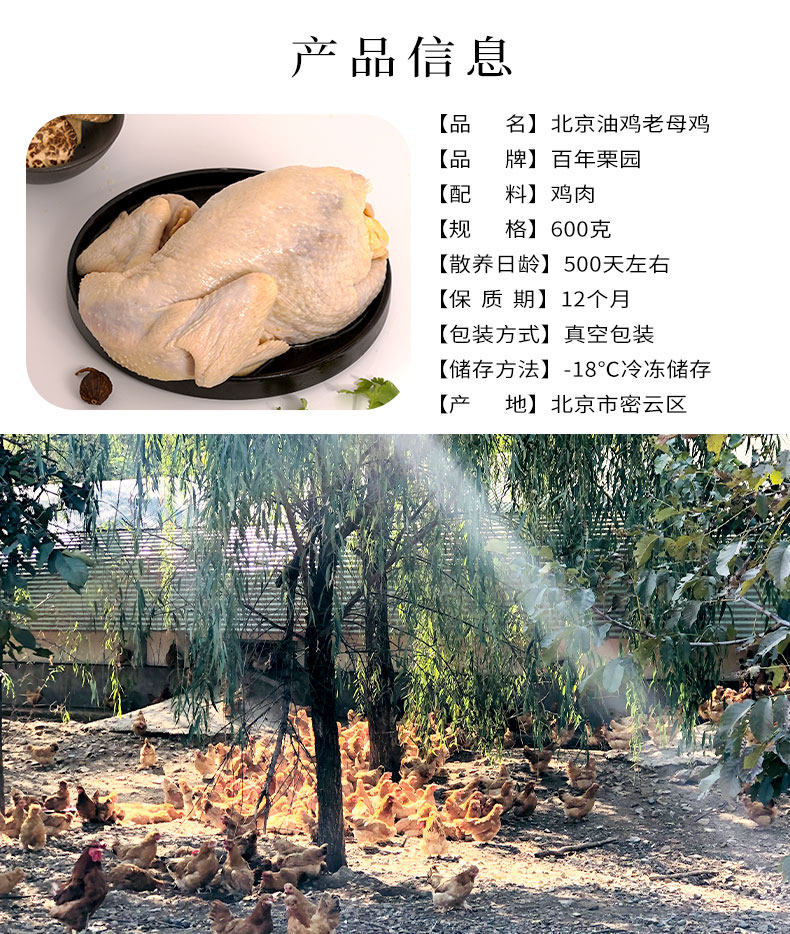首农旗下 百年栗园 500天鸡龄 北京油鸡老母鸡 600g*2只 图2