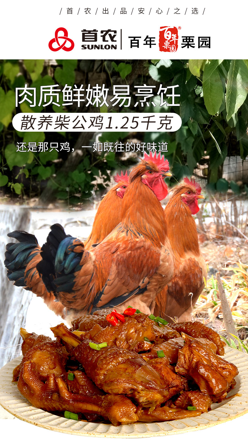 首农旗下 百年栗园 散养柴公鸡 2.5斤*2只 图1