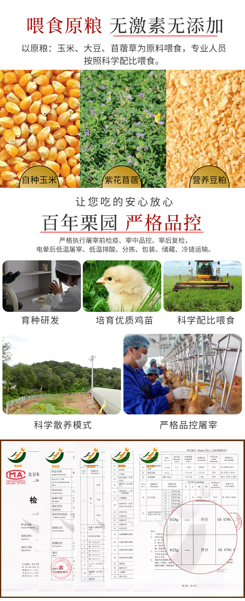 首农旗下 百年栗园 散养柴公鸡 2.5斤*2只 图3
