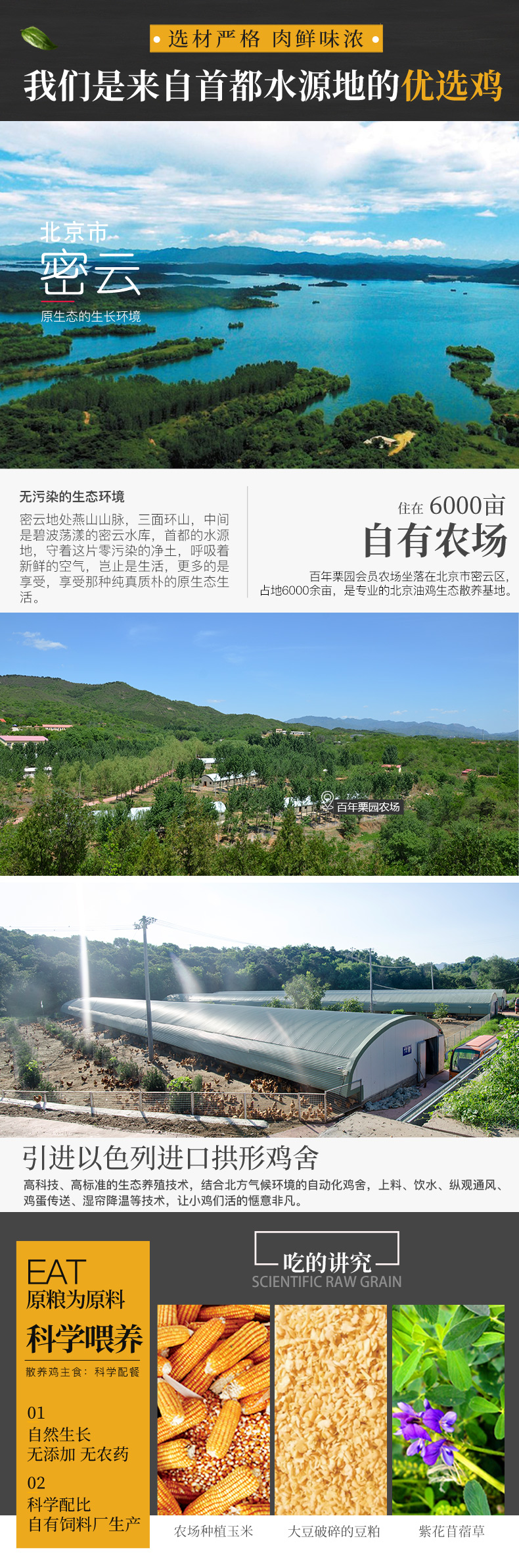 首农旗下 百年栗园 散养柴鸡土鸡 700g*2只 图3