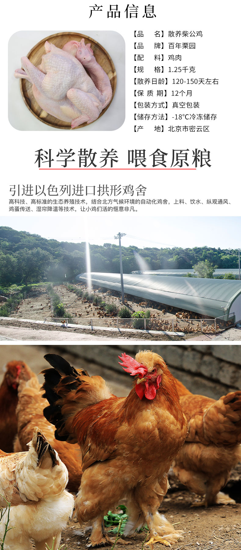 首农旗下 百年栗园 散养柴公鸡 2.5斤*2只 图2