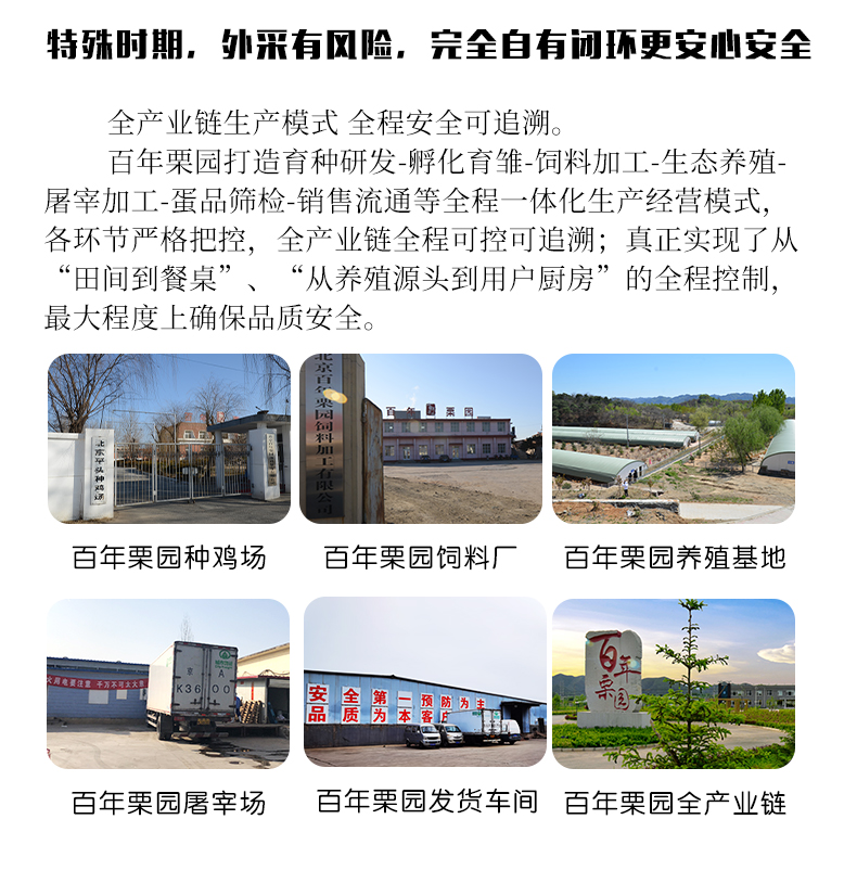 百年栗园 新鲜柴鸡蛋 土鸡蛋 60枚 图2