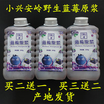 Wenmo mountain blueberry juice freshly squeezed wild blueberry puree juice concentrate juice without any additives a catty