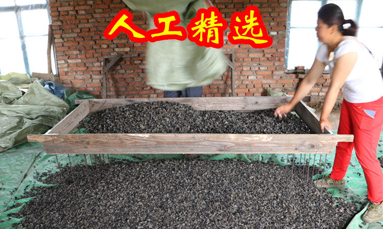 20170729105124_img_0951_1_D.