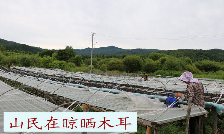 20160725165412_img_0725_dex_d.