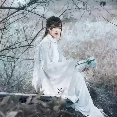 Ancient costume Traditional Hanfu female collar placket embroidered kimono autumn and winter Han element suit Student bar mitzvah daily life