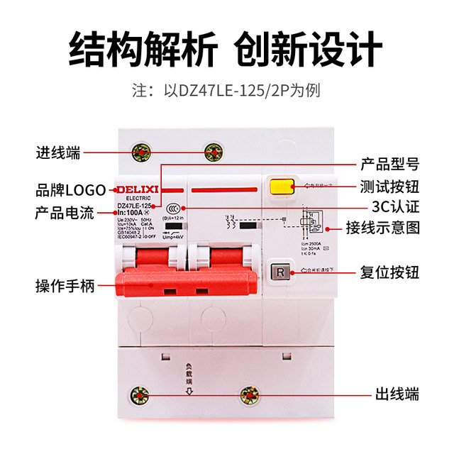 Delixi Leakage Protector Dz47Le-125 Circuit Breaker with Leakage Protection for Home Use 2P 3P Circuit Breaker 100A125A