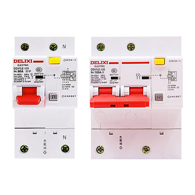 Delixi Leakage Protector Dz47Le-125 Circuit Breaker with Leakage Protection for Home Use 2P 3P Circuit Breaker 100A125A
