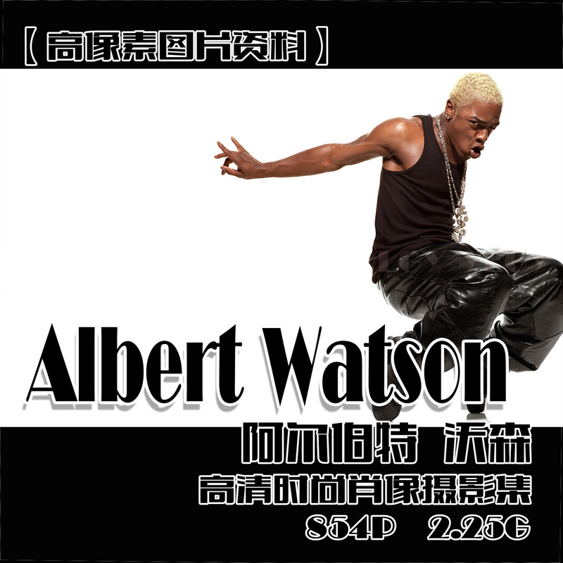 (225) Albert Watson High-Definition Fashion Photography Collection 854P 2.25g