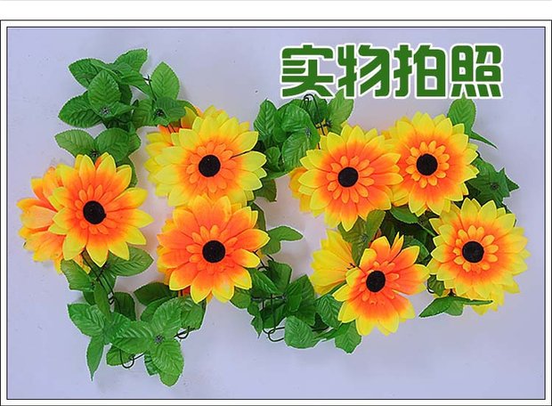 Mô phỏng Mặt trời Hoa Mây Hoa hướng dương Vine Vine Hoa giả Trang trí phòng khách Ban công Trang trí cống thoát nước Trang trí ống - Hoa nhân tạo / Cây / Trái cây đào đông đỏ giả