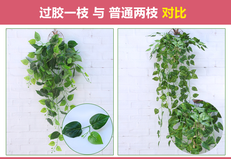 Cây mô phỏng hoa giả mây nho cây xanh trang trí tường trong nhà ống nước trang trí lá treo tường màu xanh treo - Hoa nhân tạo / Cây / Trái cây lan giả