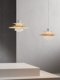 Modern Minimalist Nordic Danish Ph5 Designer Pendant Light for Restaurant, Bar, Bedroom, Clothing Store, Single-Head Ufo Chandelier