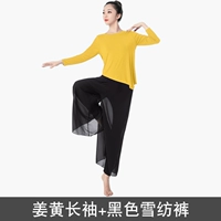 Y907 Джинджер с длинным рукавом+J157 Черные брюки