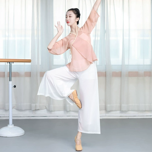 Классическая танцевальная одежда Служба служба китайского древнего стиля сетка новая форма, элегантная служба Женская искусство Тестовый танец девушка