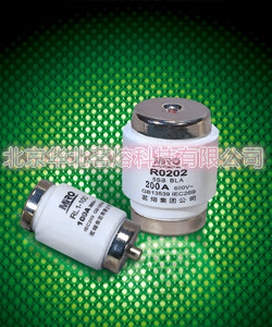 MRO Zhejiang Tea Lava Appliances of Tea Melting Fuse RLS1-60 25A