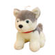 Husky plush toy puppy doll cloth doll ເດັກນ້ອຍ doll simulation dog car-mounted gift birthday for men and women