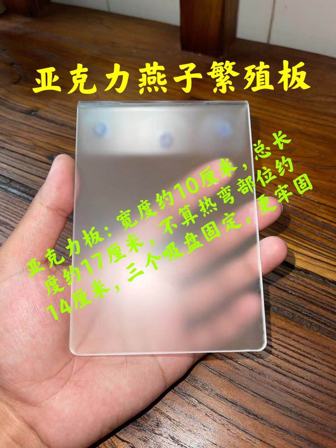 Fairy Fish breeding plate Septux breeding tank spawning tank incubator