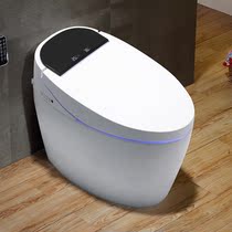 Household Japan automatic smart toilet One-piece electric ceramic toilet remote control heating multi-function drying