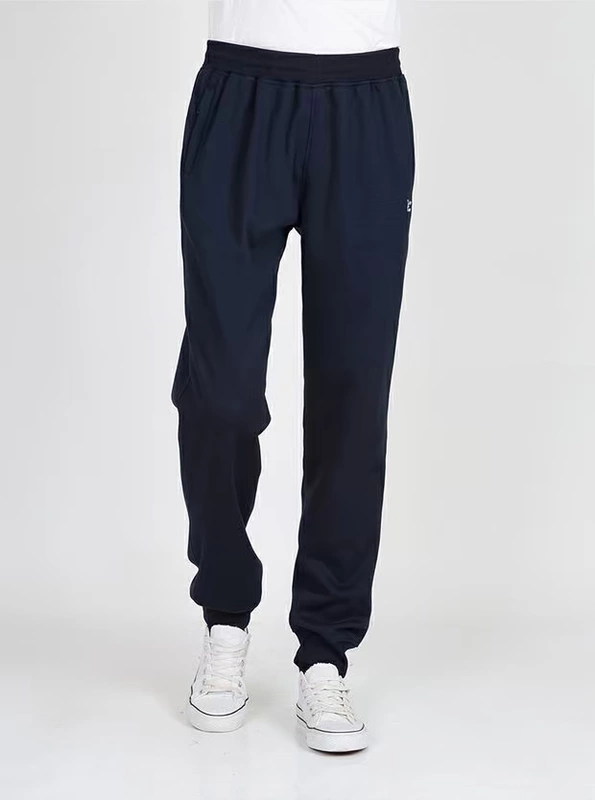 Mùa thu và mùa đông quần thể thao nam cộng với quần nhung dày rộng kích thước lớn cotton sinh viên quần Harlan giản dị