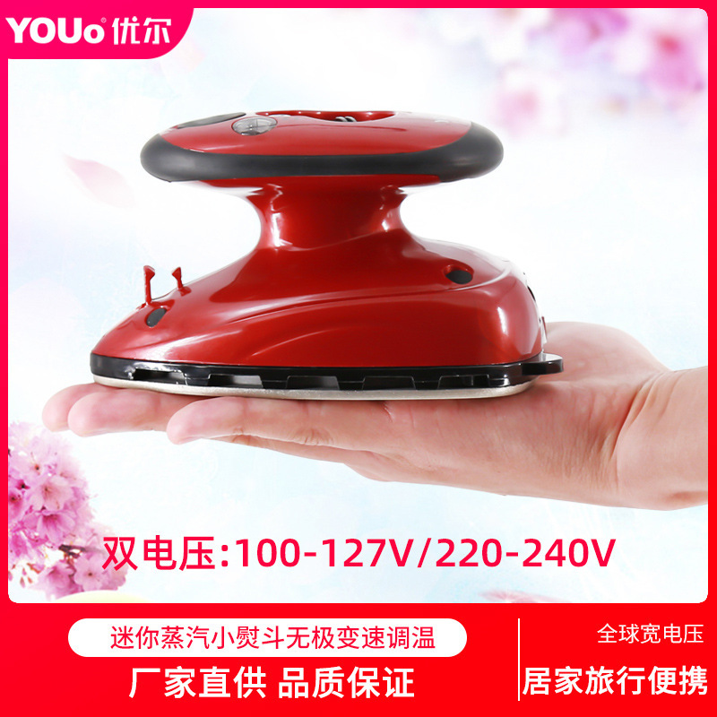 Youer Household Small Electric Iron Steam Travel Iron Dual-Use for Dry and Wet Ironing for Business Trips and Student Dormitories Y-816