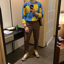 BROTHER autumn and winter mens personality Big Pineapple jacquard sweater Korean Net red pullover trend knitwear men