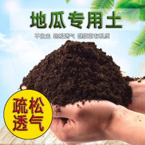 Sweet potato soil sweet potato soil household potted green planting soil weak acid sandy yellow soil planting fertilizer