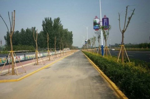 Cây cột bộ giữ đường phố nhựa đặt cốc cung cấp cây khung khung hỗ trợ khung bảo vệ khung khung cây ở lại - Nguồn cung cấp vườn vòi xịt nước tưới cây