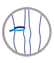 Protection sport - Ref 584224 Image 9