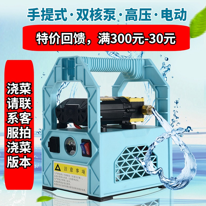 Electric sprayer agricultural portable high voltage double motor watering flower lithium battery new double switch fruit tree sprayer
