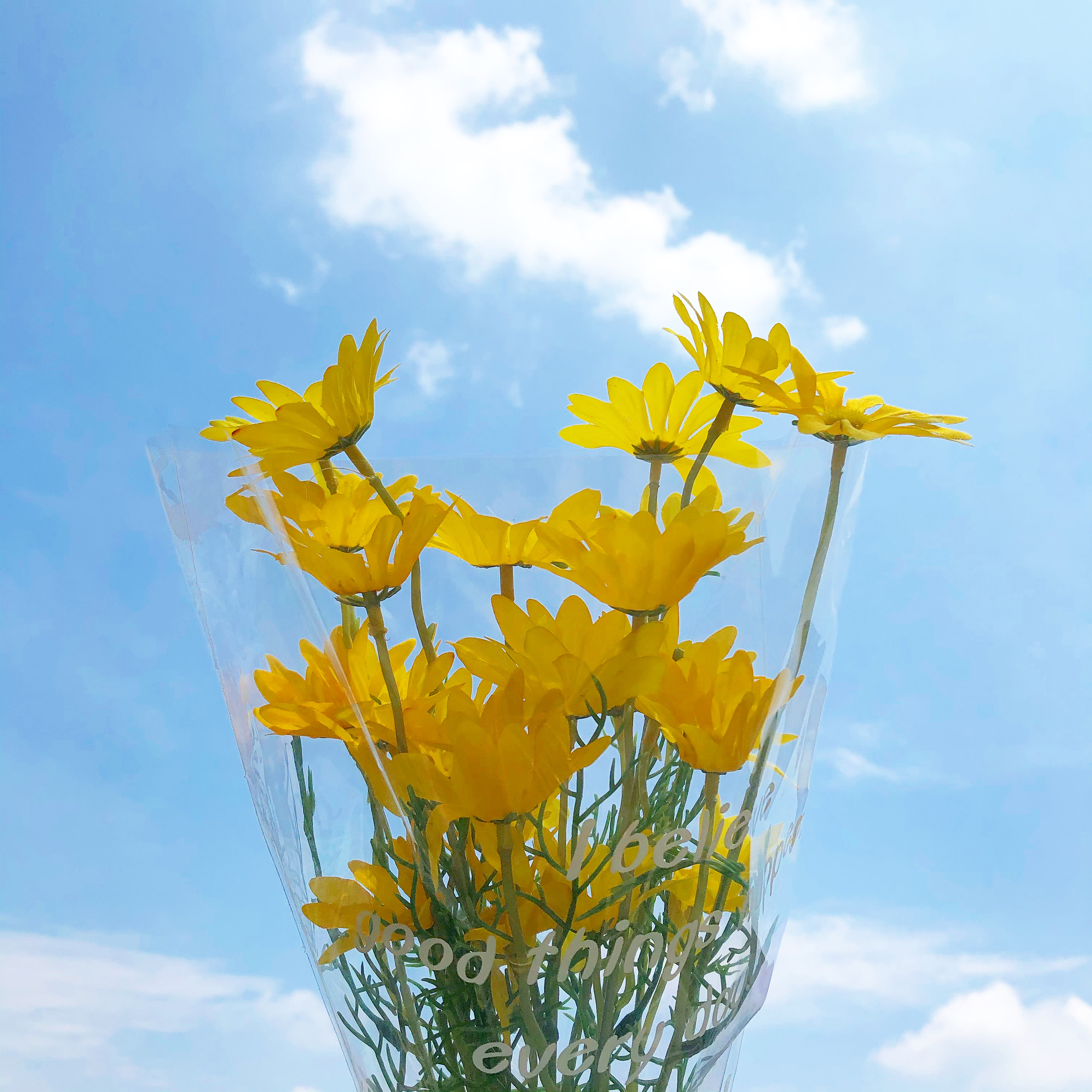 TJJ -- Ins Emulated Daisy Fake Flowers Swing Pat Photo Props Home Studio Cafe Decoration