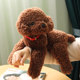 Cute Teddy Dog Plush Toy Doll Doll Doll Simulation Puppy Soothing Rag Doll ຂອງຂວັນວັນເກີດສໍາລັບເດັກຍິງ