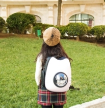 Cute Pet Cat Face Space Bag Small & Medium Kitty Dogs Double Shoulder Back Out Travel Backpack Cat Pack Cat Cage