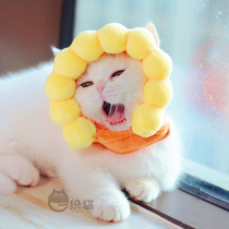 A weaseled cat selling cute kitty Puppy hat headgear Soft Comfort Funny photography Changing Clothing Pet Headwear