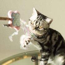 Fotos two foxes Woofer Wood Heavens plush teasing cat with teeth and teeth appeasement Emotional Teasing Cat kitty Toys