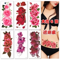 Throw maternity scars Tattoo stickers Fun kinky lines Belly caesarean section Cover stretch marks Sexy private parts Waterproof anti-wear