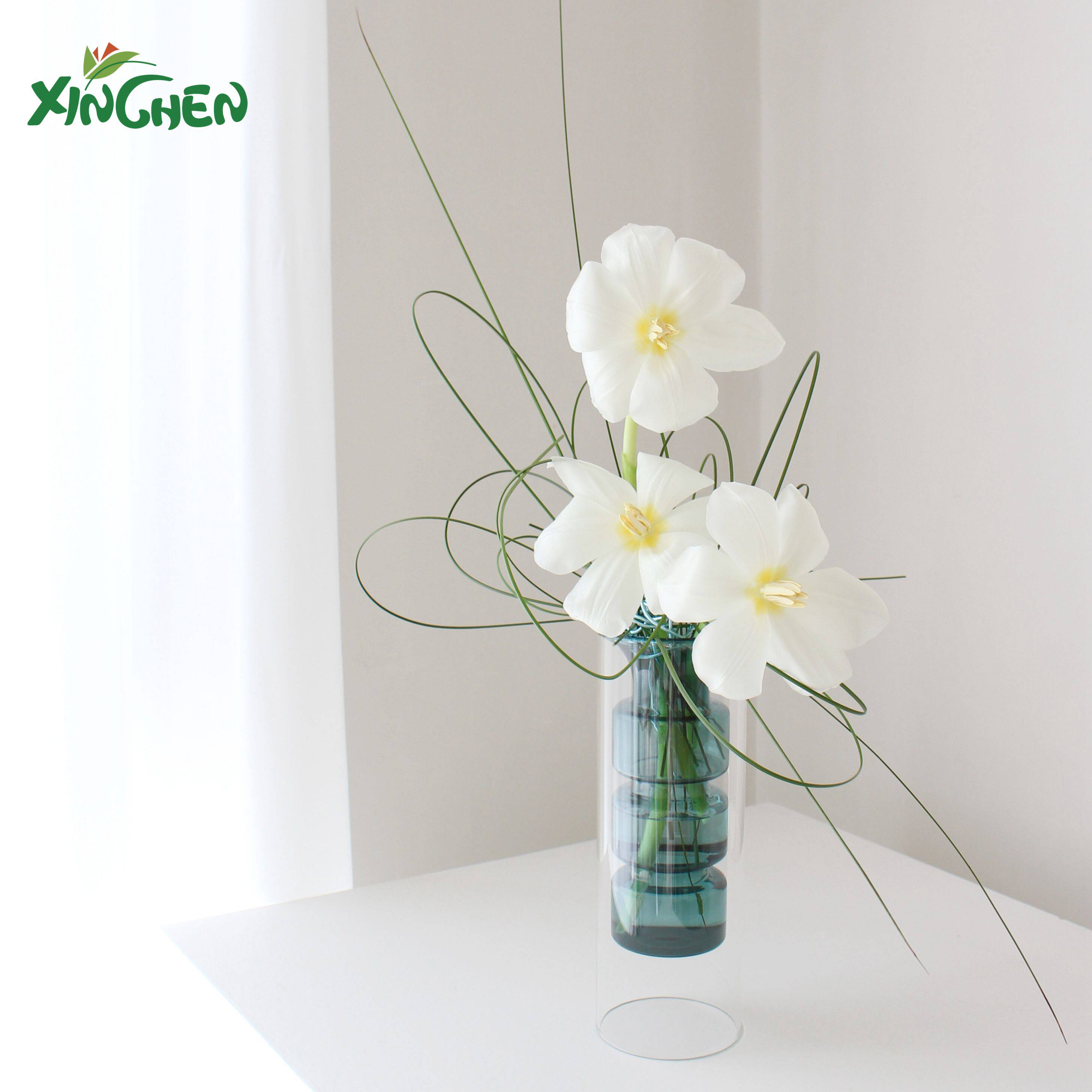 Eurostyle Art Vase Home Dress Furnishing Transparent Styling Peculiar Hydroponic Vase Flower Arrangement Decorative Vase