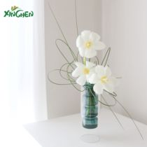 European art vase home decoration transparent shape strange hydroponic vase flower arrangement decorative vase