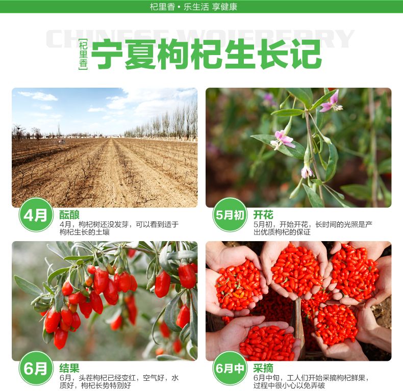 五星描述第4版4_09.jpg