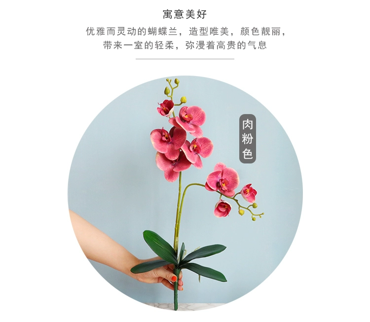 giả hạc hoa hồng đỏ Người nổi tiếng trên Internet Phalaenopsis nhân tạo đồ trang trí hoa hoa bàn phòng khách cắm hoa trong nhà hoa giả chậu cây cắm hoa trang trí chậu hoa lan giả cây lá phong giả