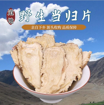 Wild Angelica Head Tablets Premium Chinese Medicinal Materials Qi and Blood Nourishing Health Codonopsis Astragalus Combination Can Be Soaked in Water 500g