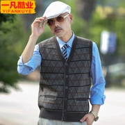 Bố mặc mùa thu và áo khoác mùa đông trung niên dệt kim áo len vest vest trung niên mùa xuân cardigan không tay vest nam quần áo