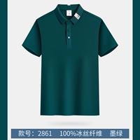 Модели чернил зеленый 2861